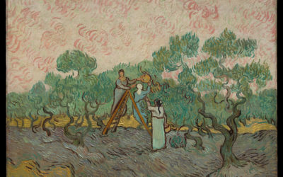 Postcard Story – Women Picking Olives – Van Gogh – 1889 – The Metropolitan Museum of Art