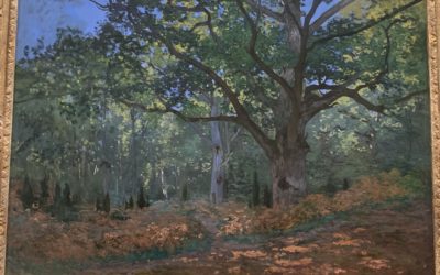 Postcard Stories – The Bodmer Oak, Fountainebleau Forest – Claude Monet – 1865 – The Metropolitan Museum of Art