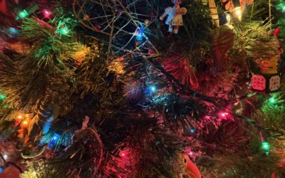 Christmas Ornaments Upon the Tree & Their Roots and Reflections Within Us