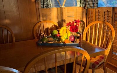 I Saw that Same Golden Sunlight Again Illuminating the Table About a Week Ago. & That for Me, the Rhythms and Certainty of Equinoxes and Solstices, of the Sun Rising and Setting – and the Calm Beauty of the Sunlight Each Morning Spreading Over the Hills North of Us – Are Comforting and Assuring. Я бачив той самий золотий сонячний промінь, який знову освітлював стіл приблизно тиждень тому. І для мене ритми та впевненість рівнодень і сонцестоянь, сходу і заходу сонця – а також спокійна краса сонячного світла кожного ранку, що розтікається по пагорбах на північ від нас – заспокоюють і внушають упевненість.