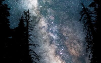 Moonlight Playing Upon the Lamp on My Nightstand & When I Could Not See the Milky Way