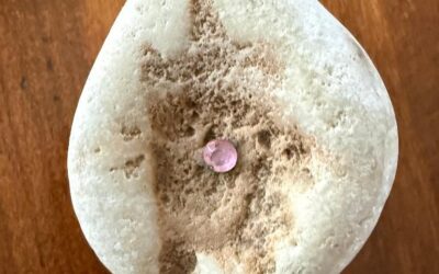 An Old, Dull, Scratched Sequin, Cradled in a Rock from Ukraine, a Gift from Maxim, my Friend, who is Now Living, Surviving, in Kyiv, Amidst the Constant and Increasingly Deadly Barrage of Missiles and Drones